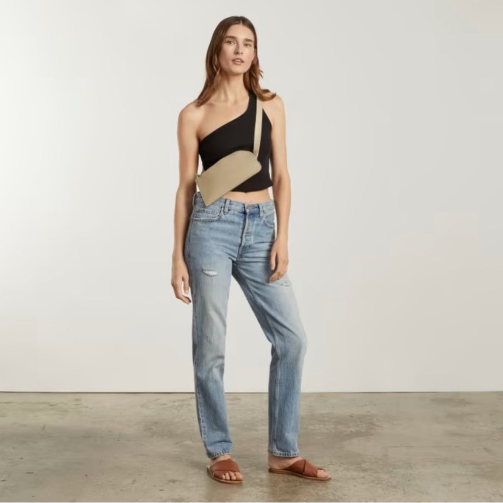 Everlane Cactus Leather Sling Belt Crossbody Bag